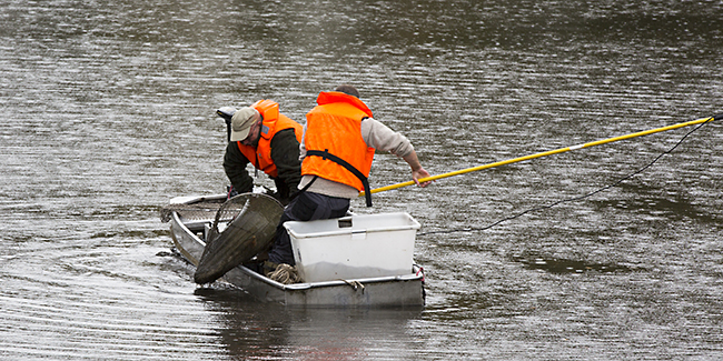 Ulrich SSimons - Abfischen im Hangeweiher
